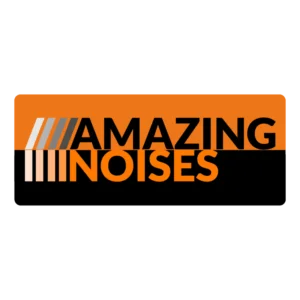 Amazing Noises