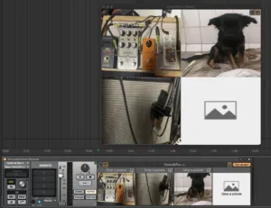 Music setup with pedals and dog