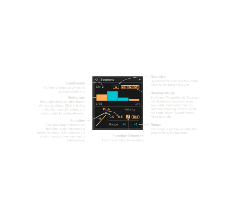 Segment Infographic