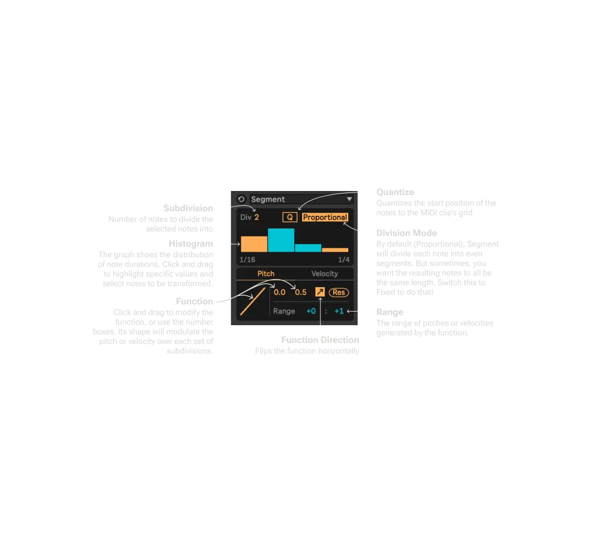 Segment Infographic