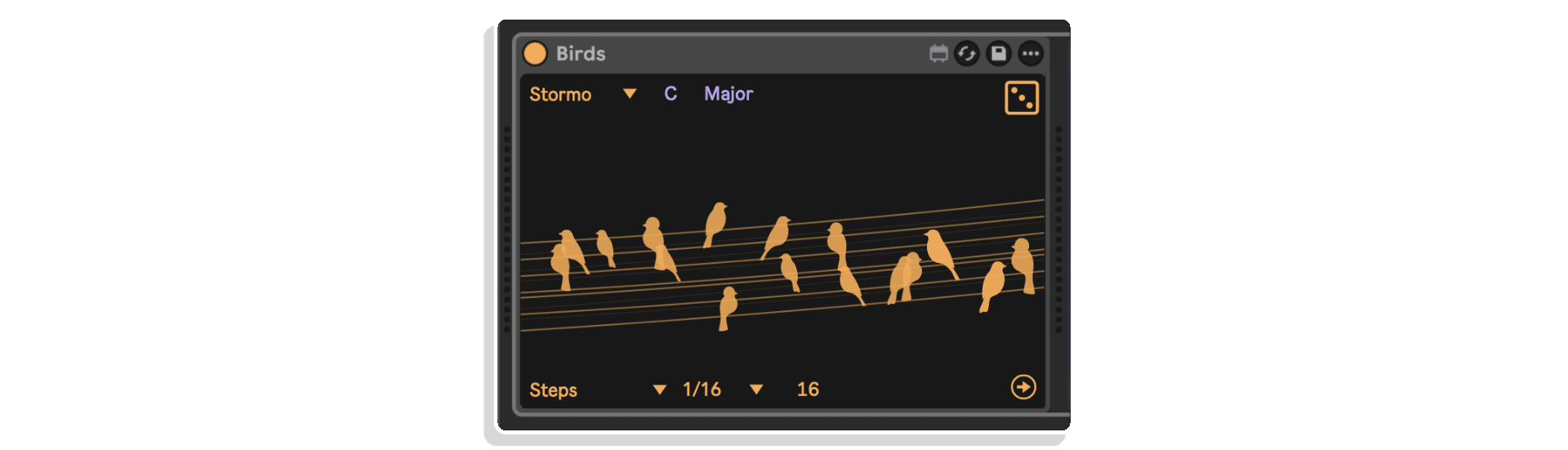 birds by alessandro aylesim miracapillo
