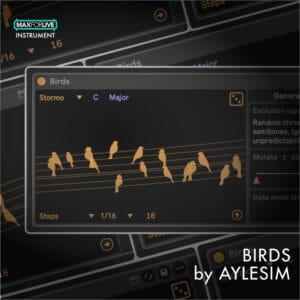 birds by alessandro aylesim miracapillo