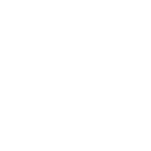 Borenstein
