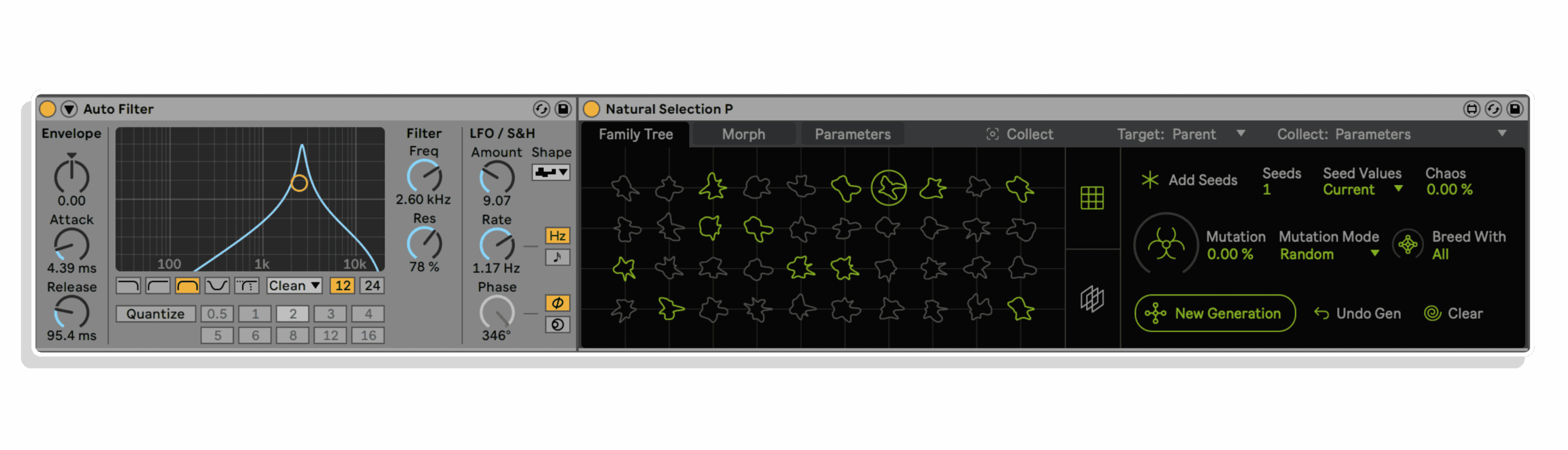 natural selection bundle by dillon bastan