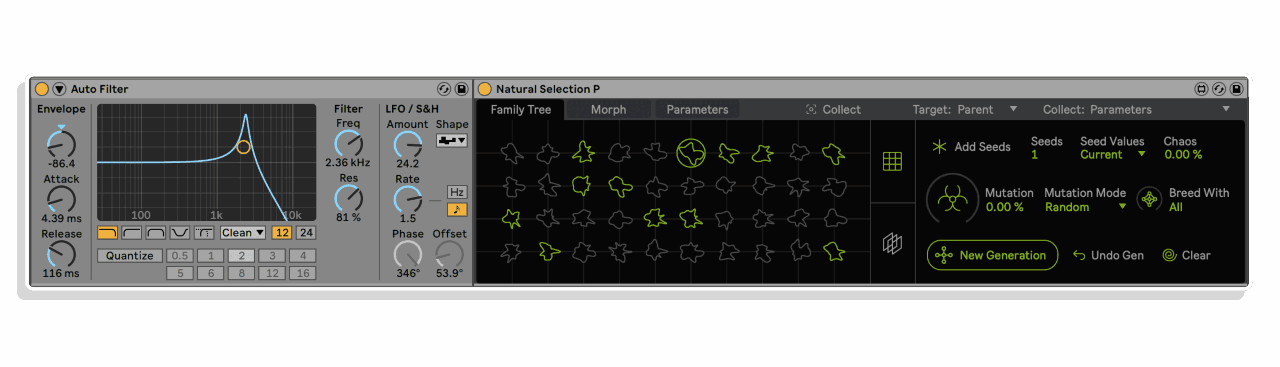 natural selection bundle by dillon bastan