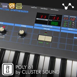 poly 61 by cluster sound