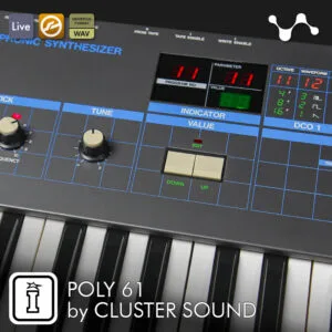 poly 61 by cluster sound