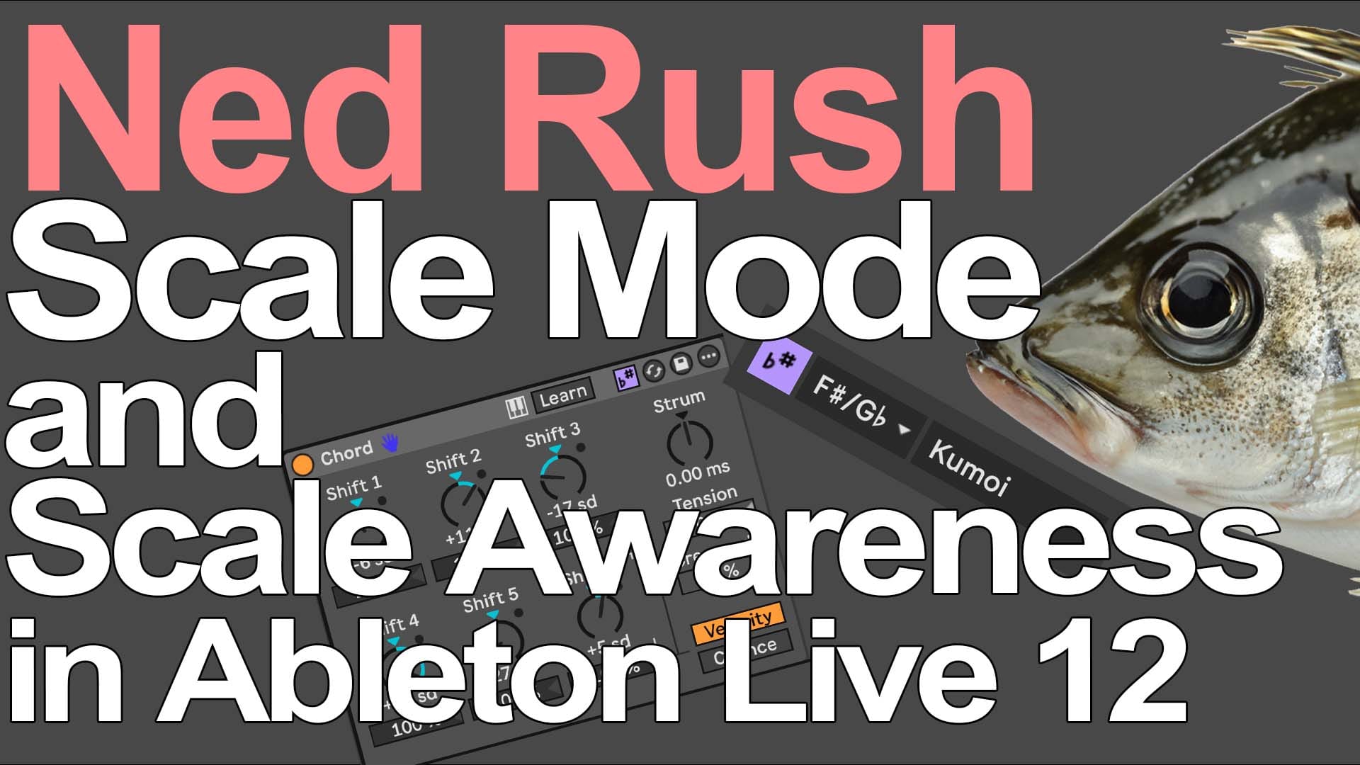 Unlock Creative Harmony with Scale Awareness in Ableton Live 12